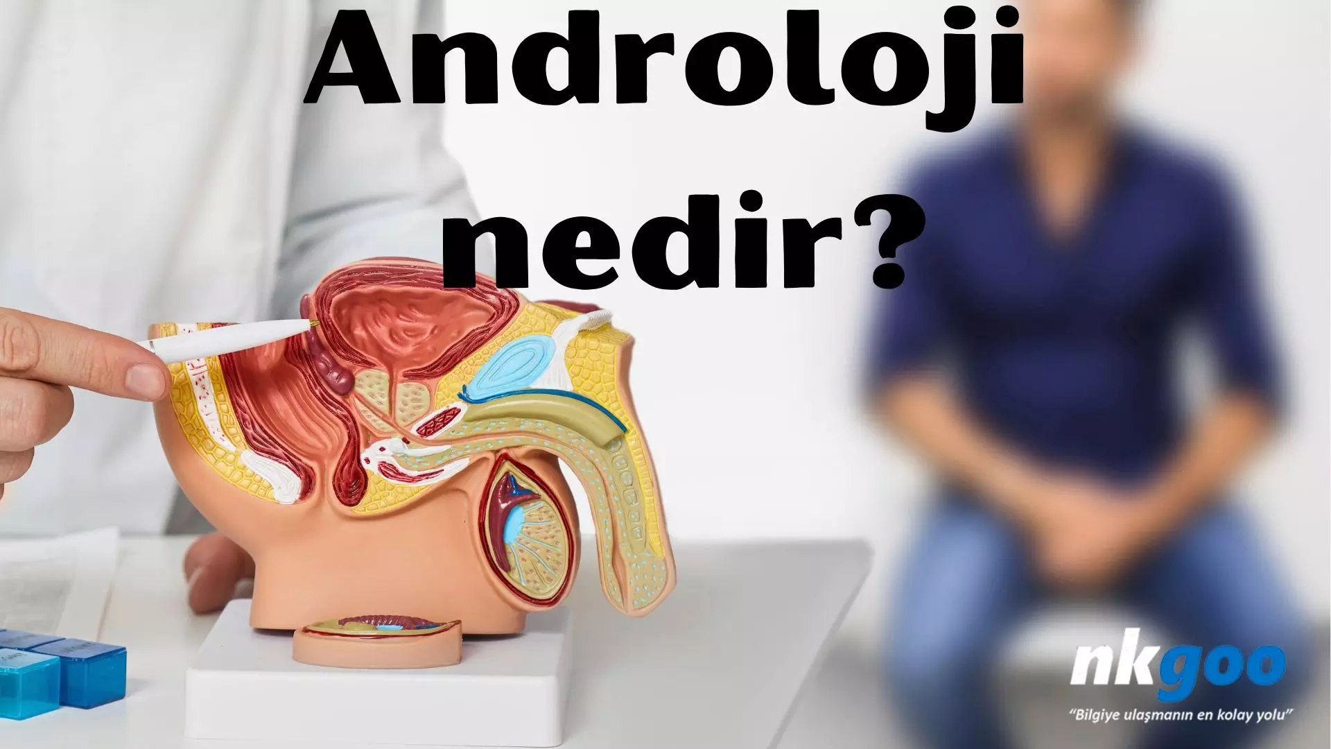 Androloji nedir? Androloji neye bakar?