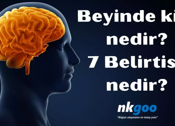 Beyinde kist nedir