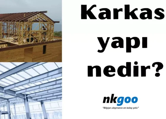 Karkas yapı nedir