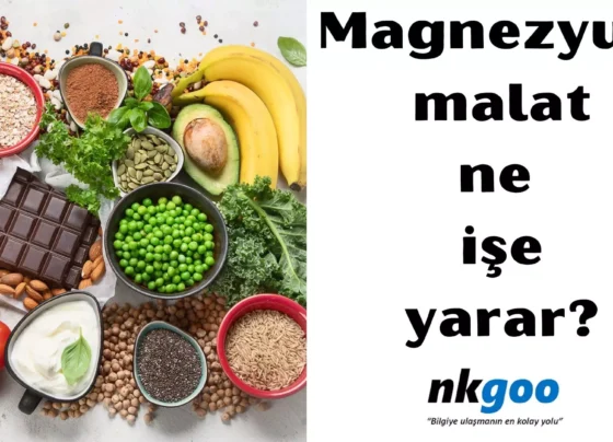 Magnezyum malat ne işe yarar