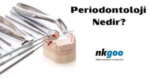 Periodontoloji Nedir 