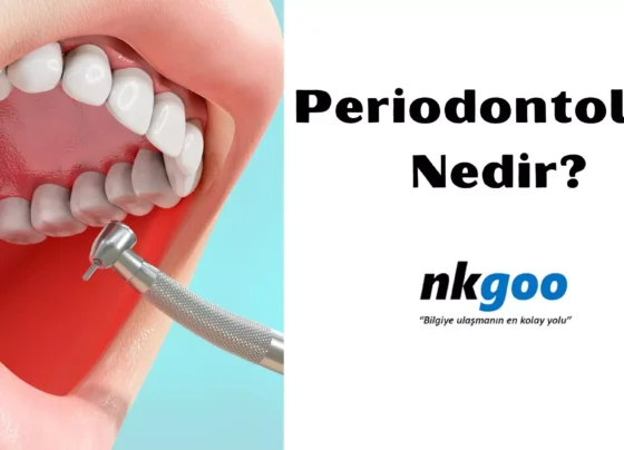 Periodontoloji Nedir