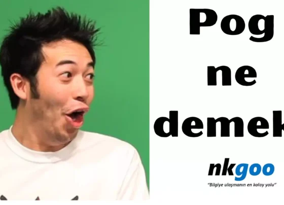 Pog ne demek