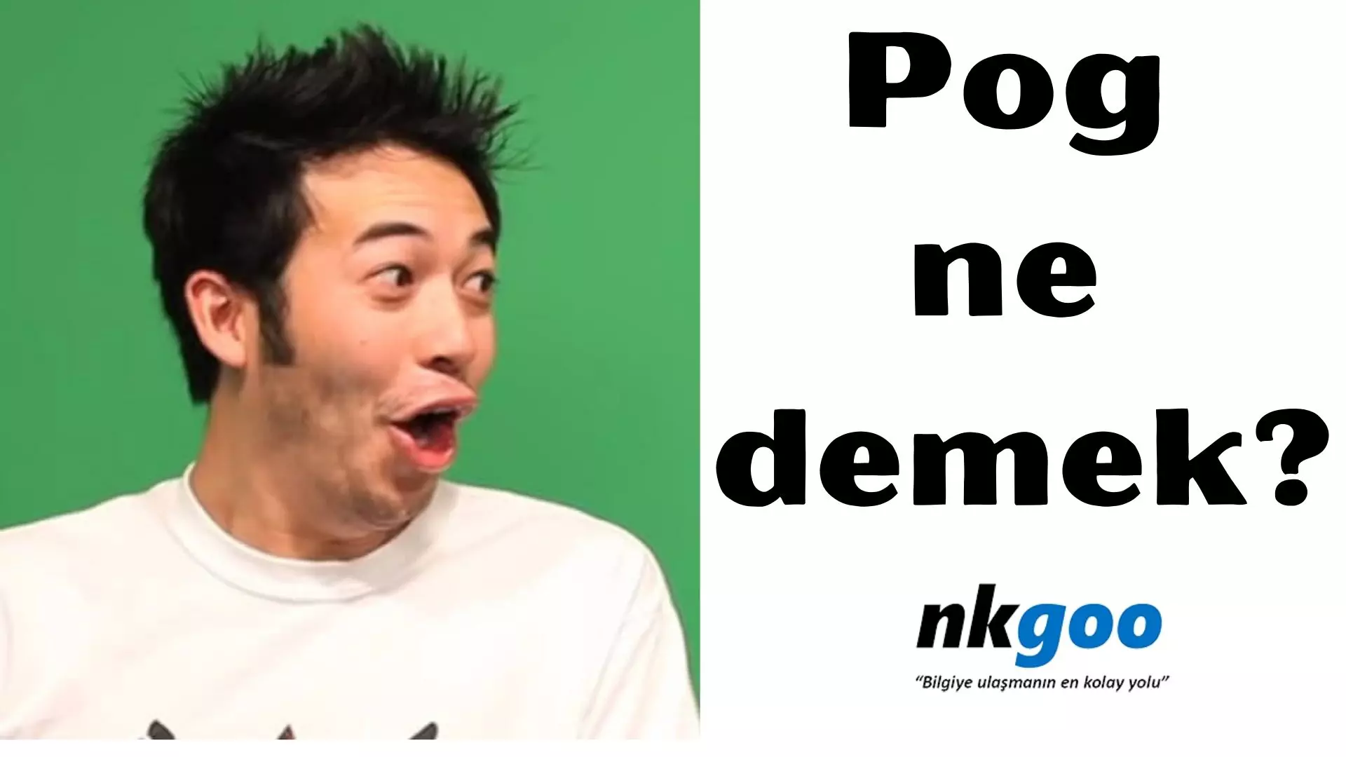 Pog ne demek? Anlamı nedir? Neyi ifade eder?