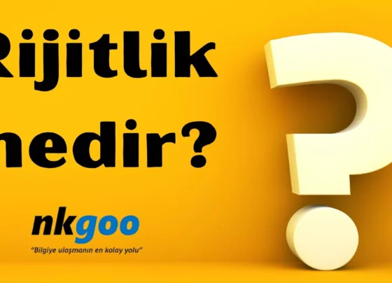 Rijitlik nedir