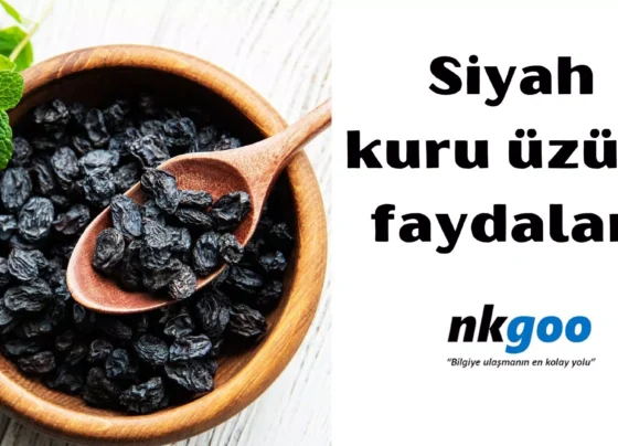 Siyah kuru üzüm faydaları