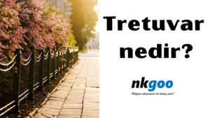 Tretuvar nedir