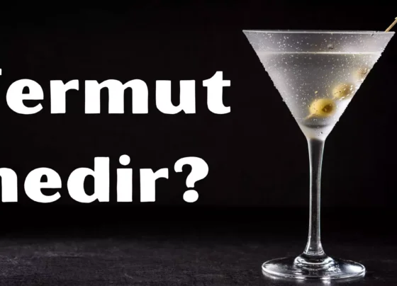 Vermut nedir