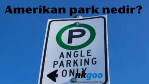 amerikan park nedir 