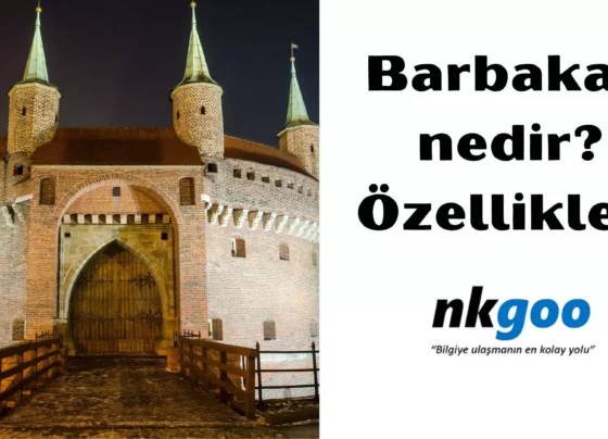 barbakan nedir