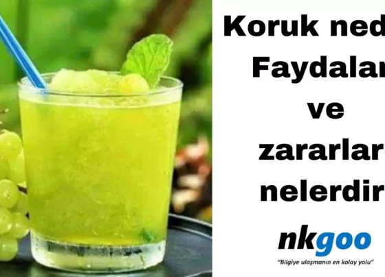 koruk nedir