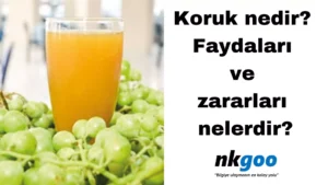 koruk nedir 