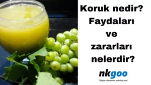 koruk nedir 