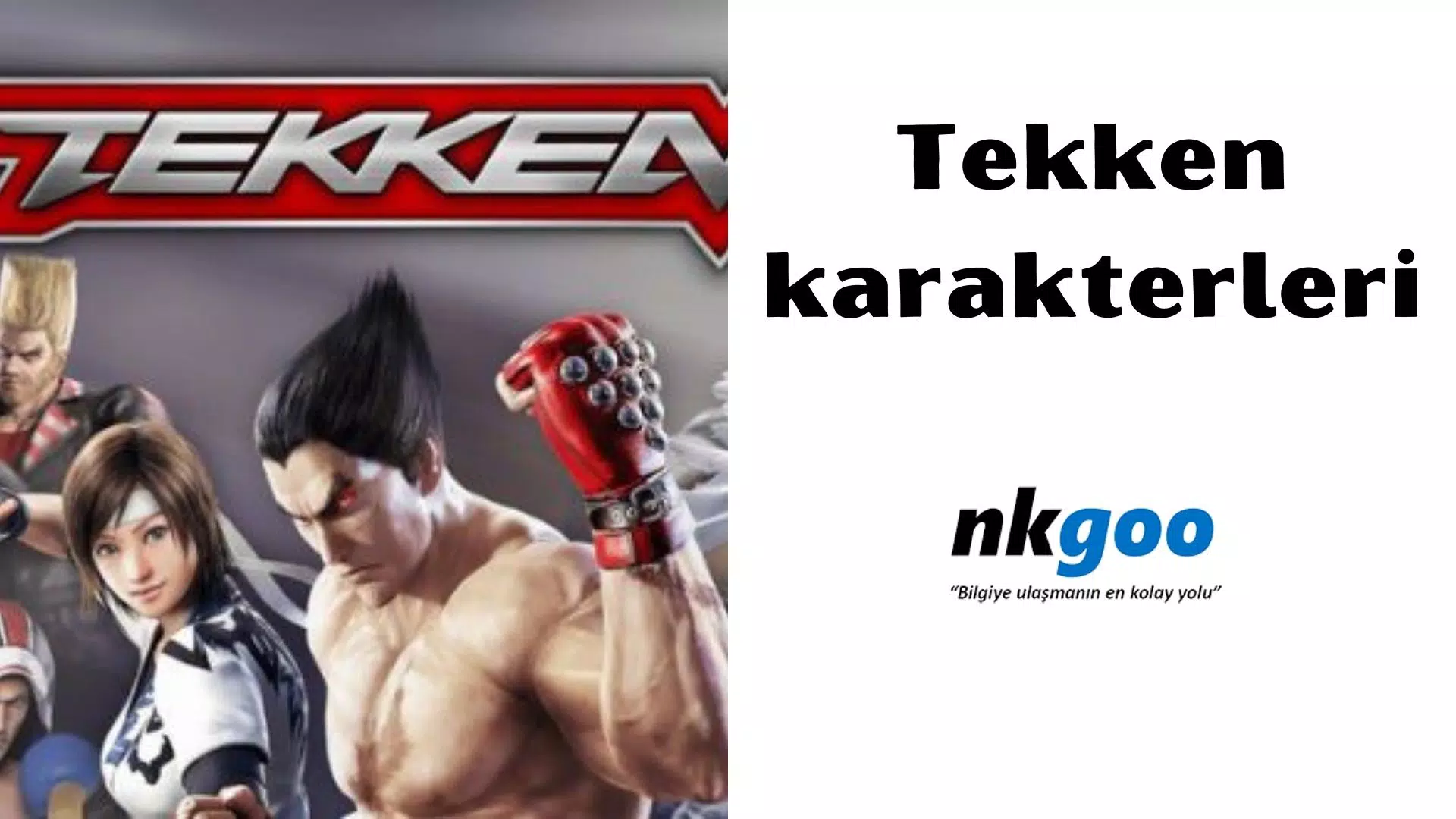 Tekken karakterleri ,137 Tekken karakteri