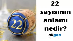 22 sayısının anlamı 