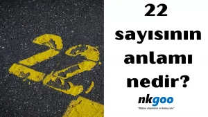 22 sayısının anlamı 