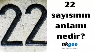 22 sayısının anlamı 