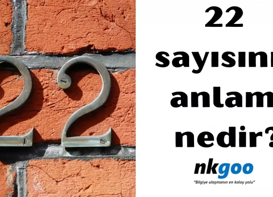 22 sayısının anlamı