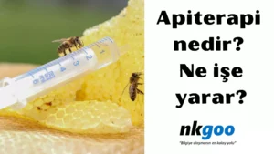 Apiterapi nedir 