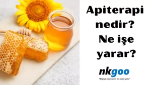 Apiterapi nedir 