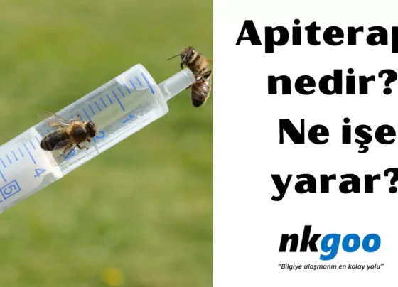 Apiterapi nedir