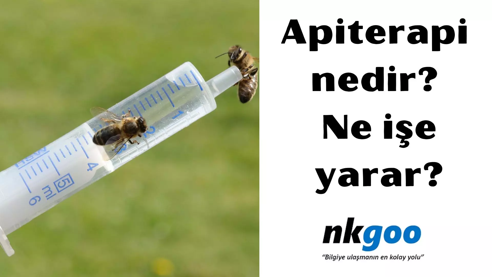 Apiterapi nedir? Ne işe yarar?