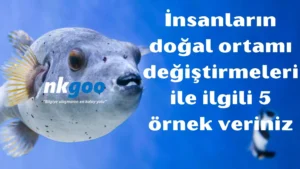 İnsanların doğal ortamı değiştirmeleri ile ilgili 5 örnek veriniz 