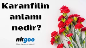 Karanfilin anlamı nedir