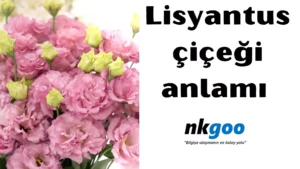 Lisyantus çiçeği anlamı 