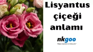 Lisyantus çiçeği anlamı 