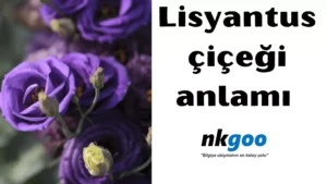 Lisyantus çiçeği anlamı