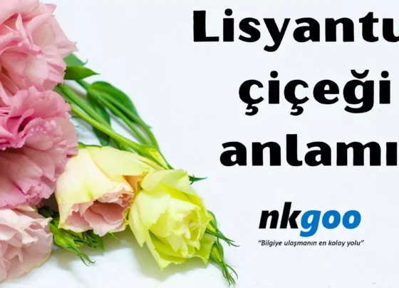 Lisyantus çiçeği anlamı