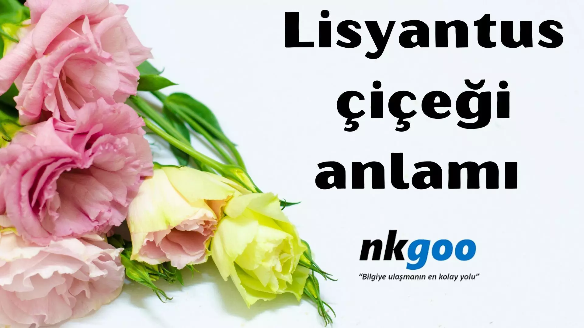 Lisyantus çiçeği anlamı, 5 farklı anlamı nedir?