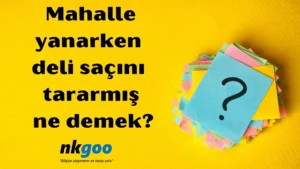 Mahalle yanarken deli saçını tararmış ne demek 