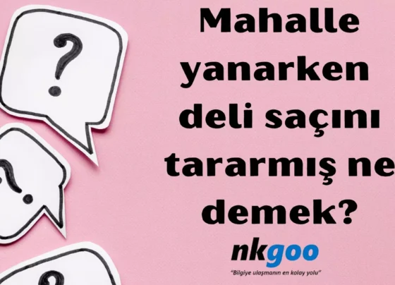 Mahalle yanarken deli saçını tararmış ne demek