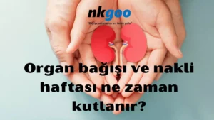 Organ bağışı ve nakli haftası 