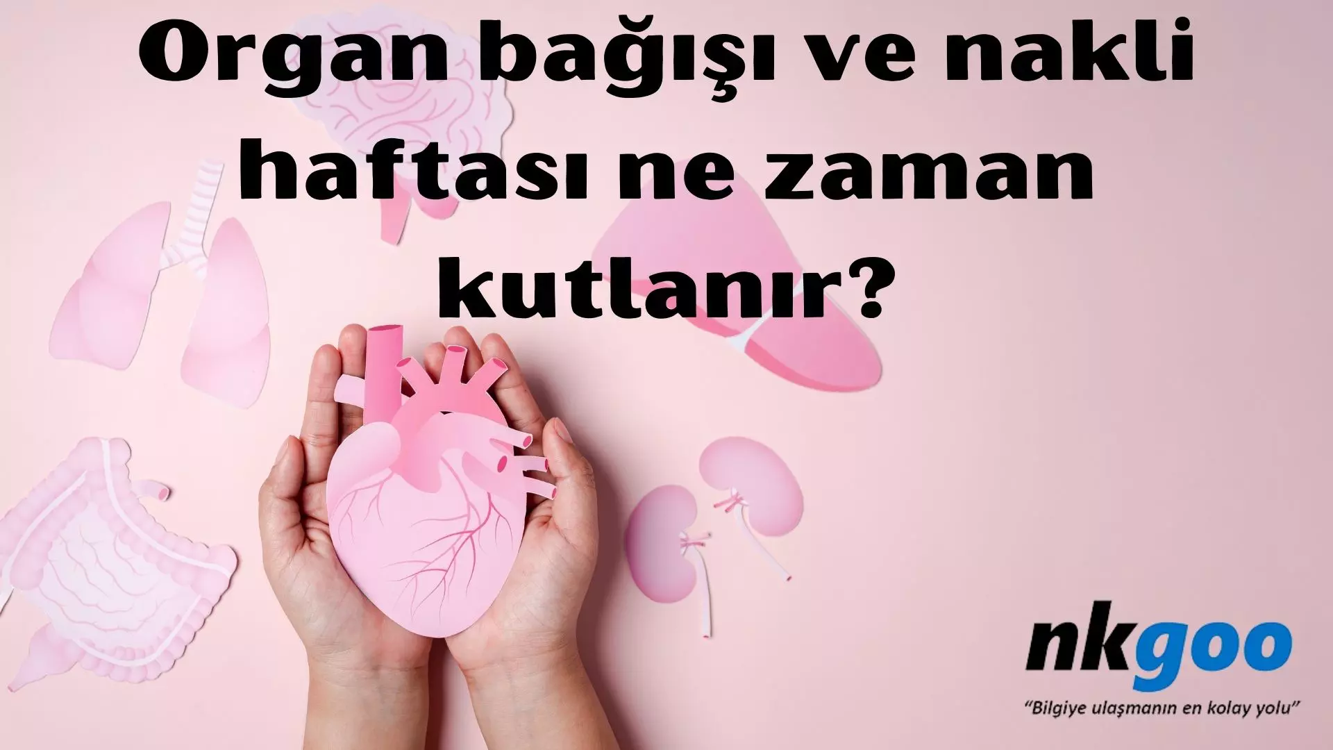 Organ bağışı ve nakli haftası ne zaman kutlanır?