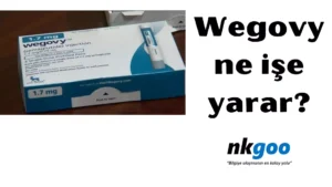 Wegovy ne işe yarar