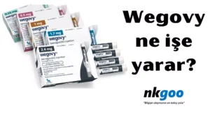 Wegovy ne işe yarar 