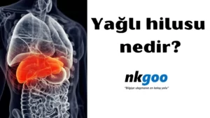 Yağlı hilusu nedir 