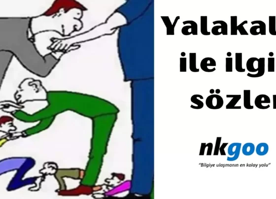 Yalaka ile ilgili sözler