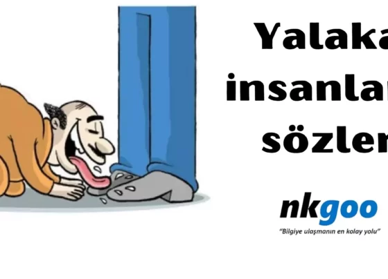 Yalaka insanlara sözler