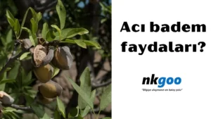 acı badem faydaları 