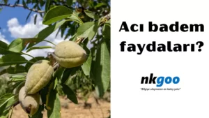 acı badem faydaları 