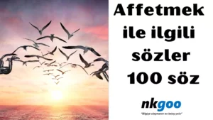 affetmek ile ilgili sözler 