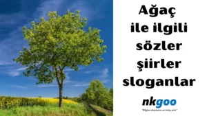 ağaç ile ilgili sözler 