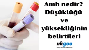 amh nedir 