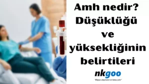 amh nedir 