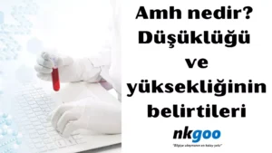 amh nedir 