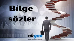 bilge sözler 